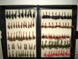 100 Dries and Nymphs Fly Fishing Flies in a Fly Box