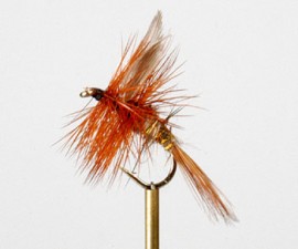 Hares Ear and Gold Dry Fly