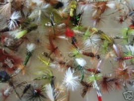 24 ASS0RTED FLIES INTRODUCTION SAMPLER PACK
