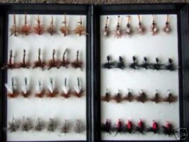 48 Best Dry Fly Fishing Flies in a Fly Box