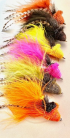 6 Cod Dahlberg Diver Fly Collection
