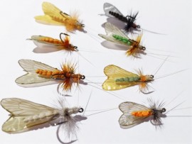 8 Adult Caddis Collection Realistic Foam