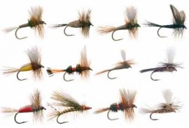 Attractor Dry Fly  Collection+Slit Foam Fly Box