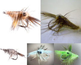 10 Shrimps of mass seduction 