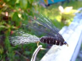Hairy Dog trout fly Streamer