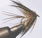 french partridge mayfly
