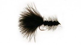 Black Wolly Bugger Barbless